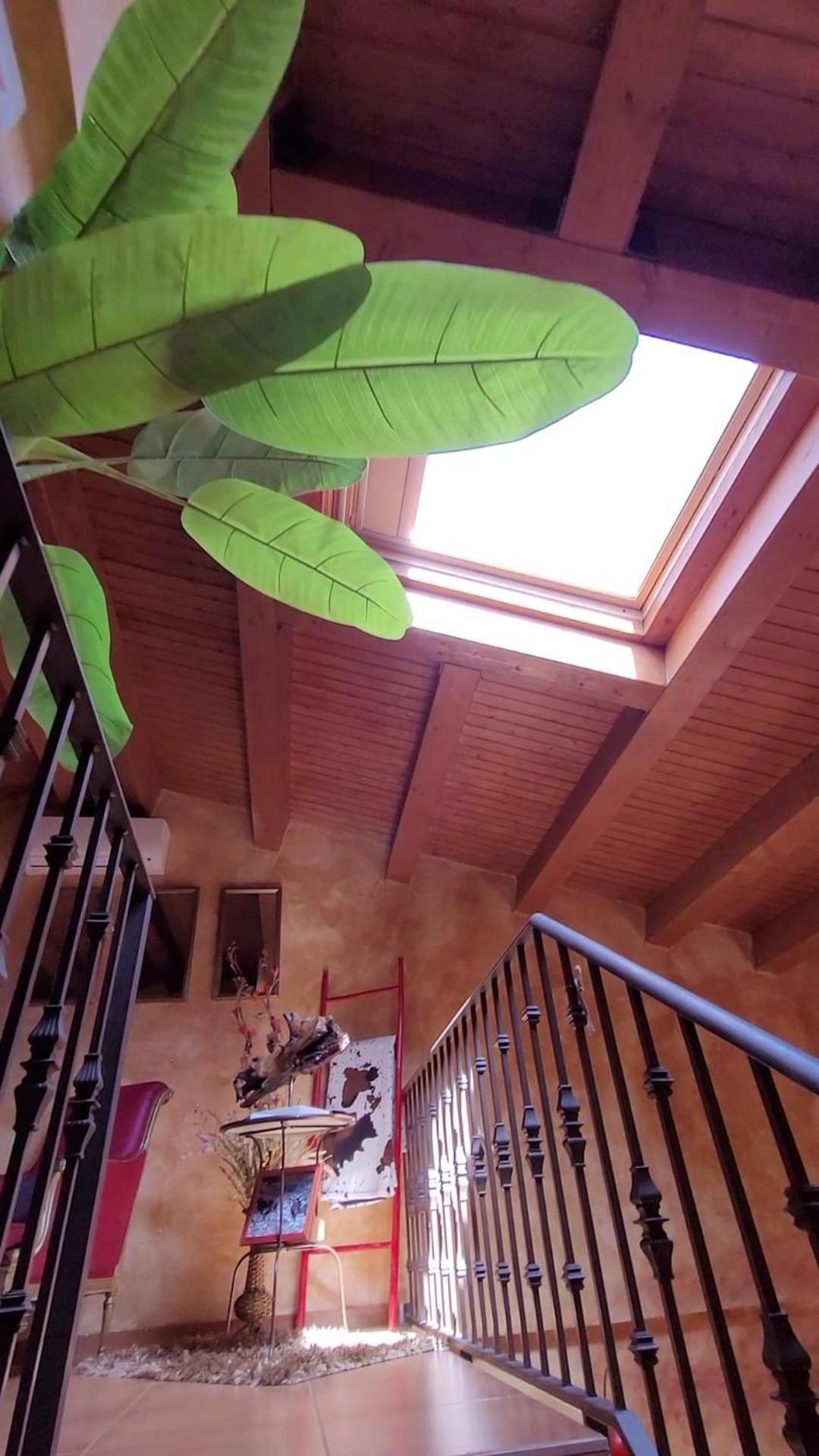 El Atico De Mijares Guest House Room photo
